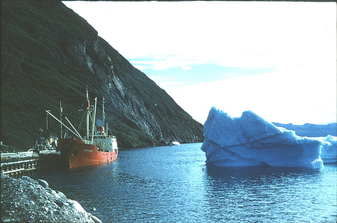 Narsarsuaq-billeder/Der%20holdes%20%F8je%20med%20isfjeld%20n%E6r%20coaster%20i%20havnen.jpg