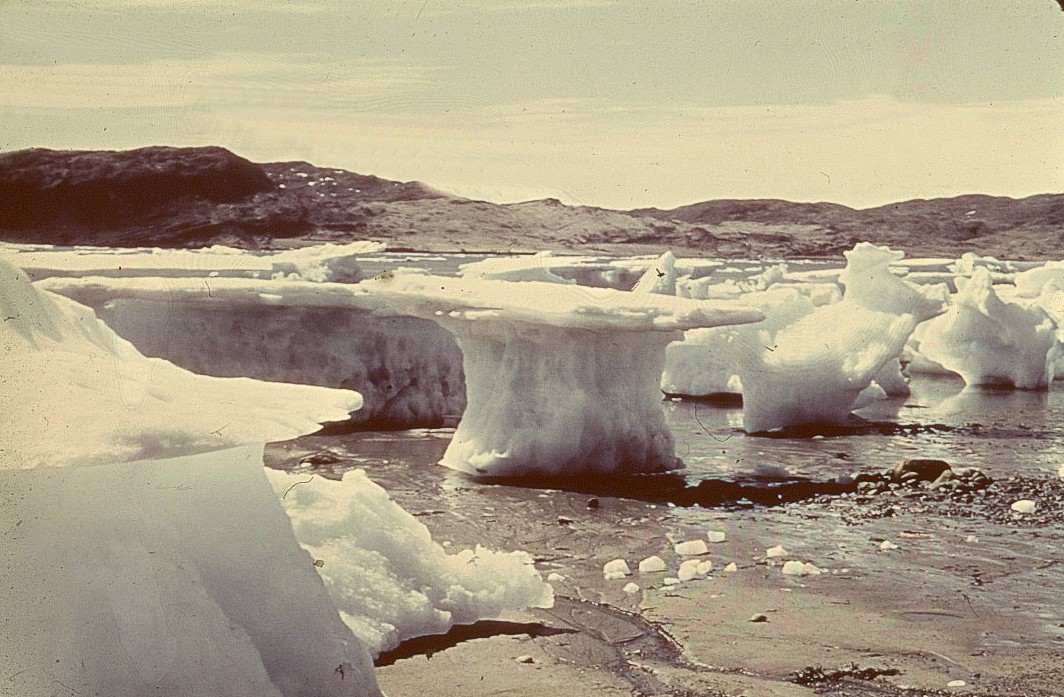 Narsarsuaq-billeder/Strandede%20isskosser%20med%20udsigt%20til%20Qagsiarsuk.jpg