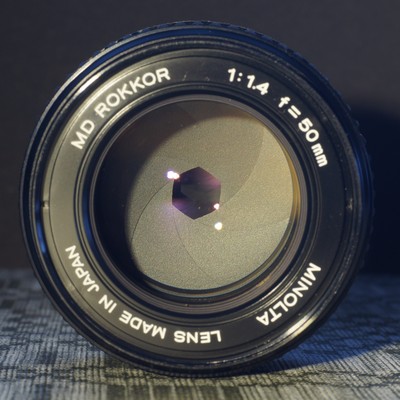 Bl�net ned til bl. 8 JP-DSC00351