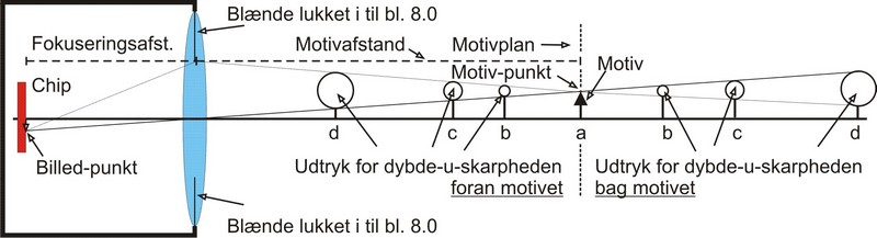 Fokusering - dybdeskarphed bl. 8 med baggrundsuskarphed.