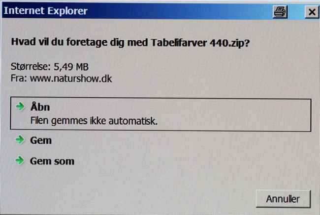 Brugsanv-billeder/IE%20hvad%20vil%20du%20foretage%20deig%20%C5BN-GEM-GEMSOM.jpg