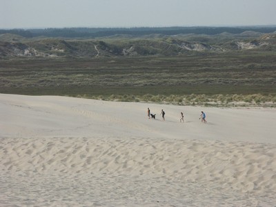 R�bjerg Mile-17 5 mand og en hund bestiger milen