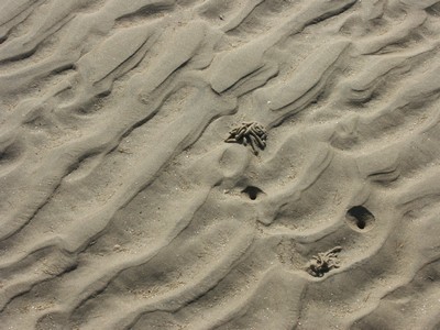 R�m�, rimmer med 2 sandorm-6