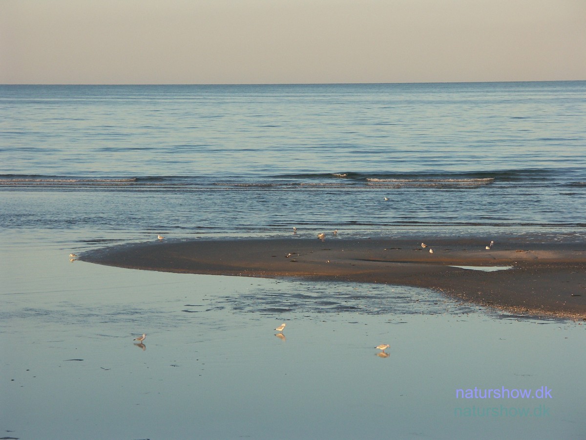 Ø-Hurup, strand-8 korr.jpg