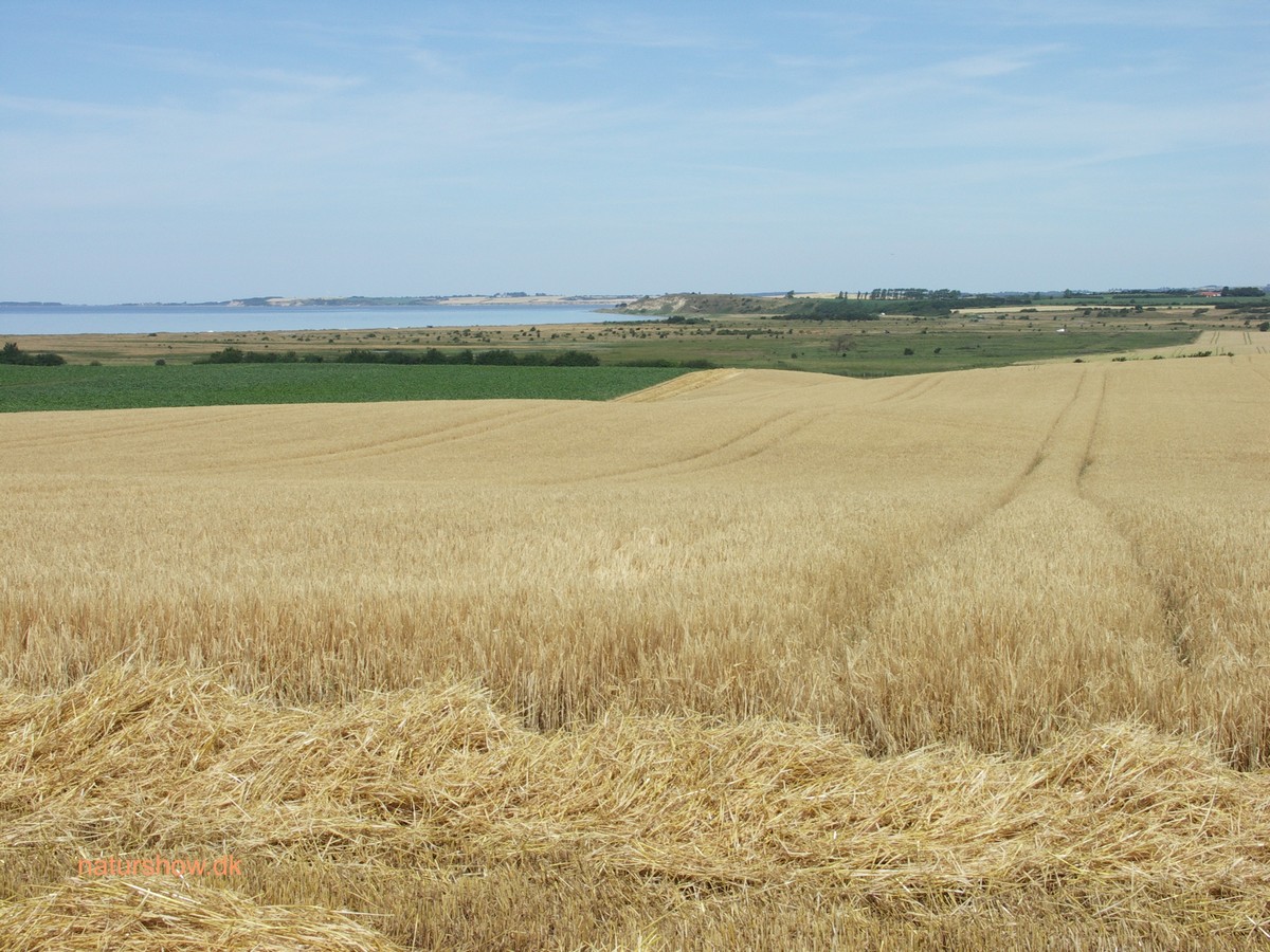 Helnæs, vue over Maen set fra fyret mod nord - Helnæs korr.jpg