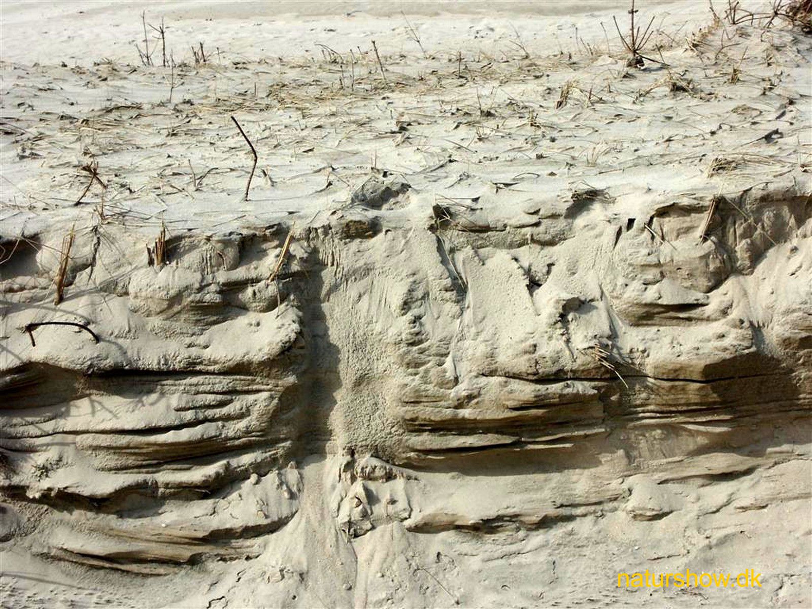 Hvide%20Sande,%20sand%20i%20lag%20korr%20.jpg