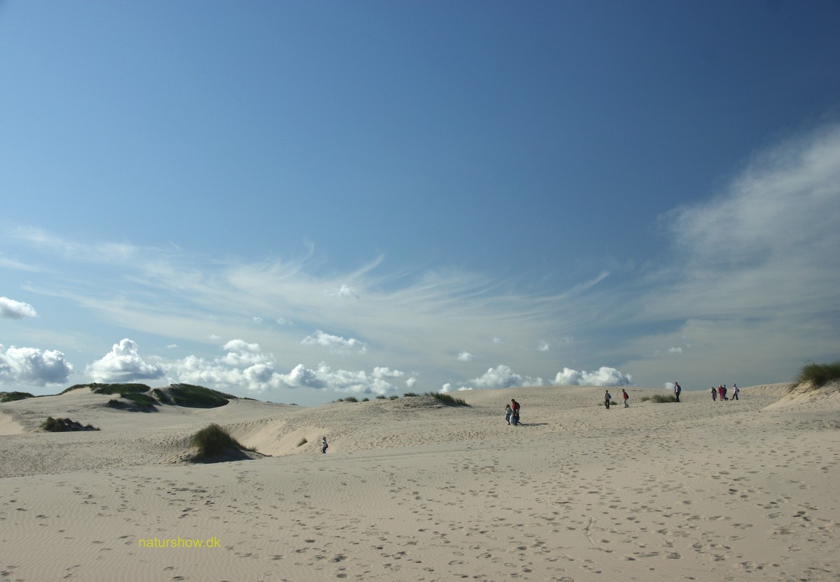 Råbjerg Mile -3 korr JP-DSC04858.jpg