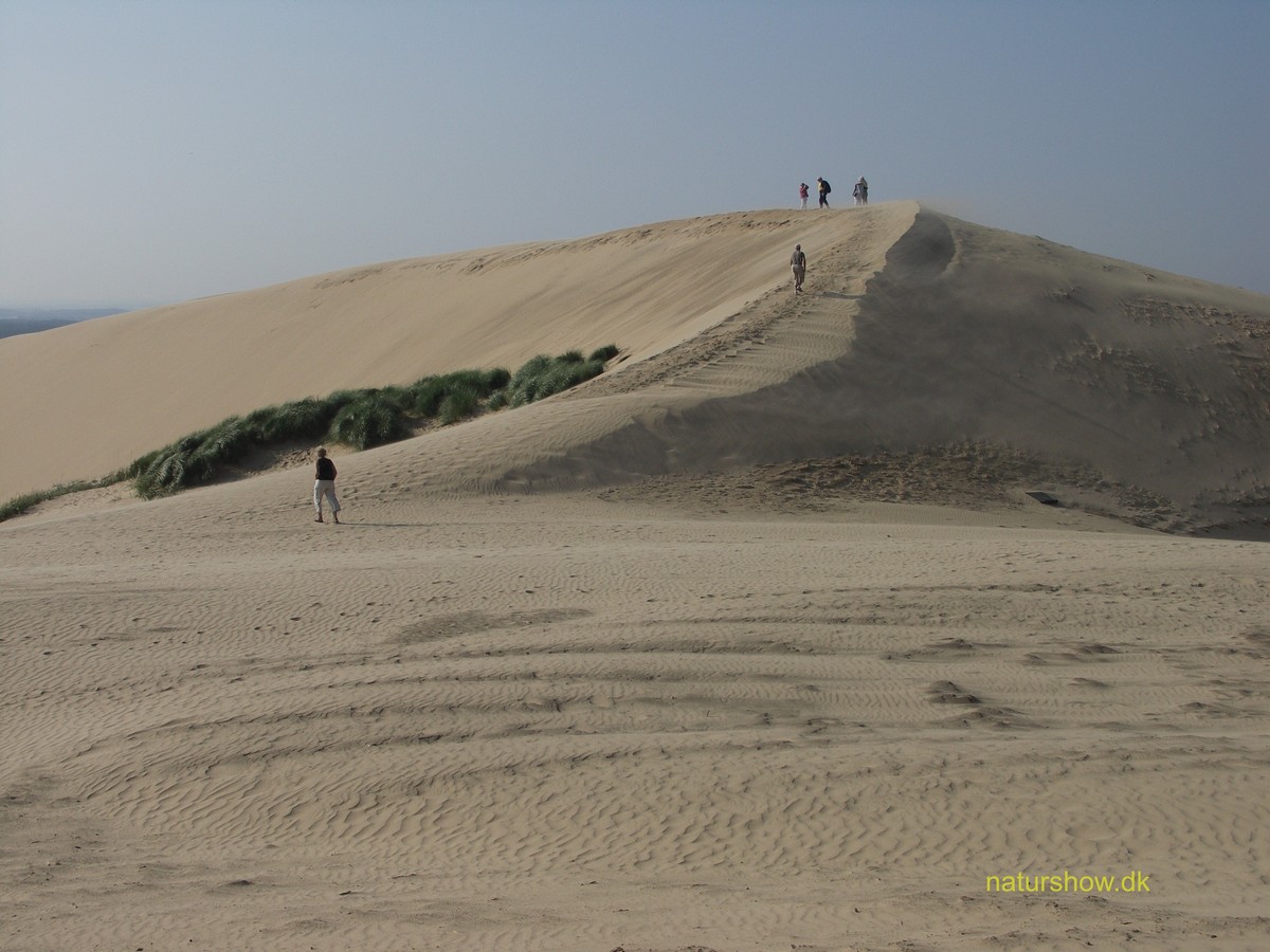 Rubjerg Knude - Sand og turister -13 korr.jpg