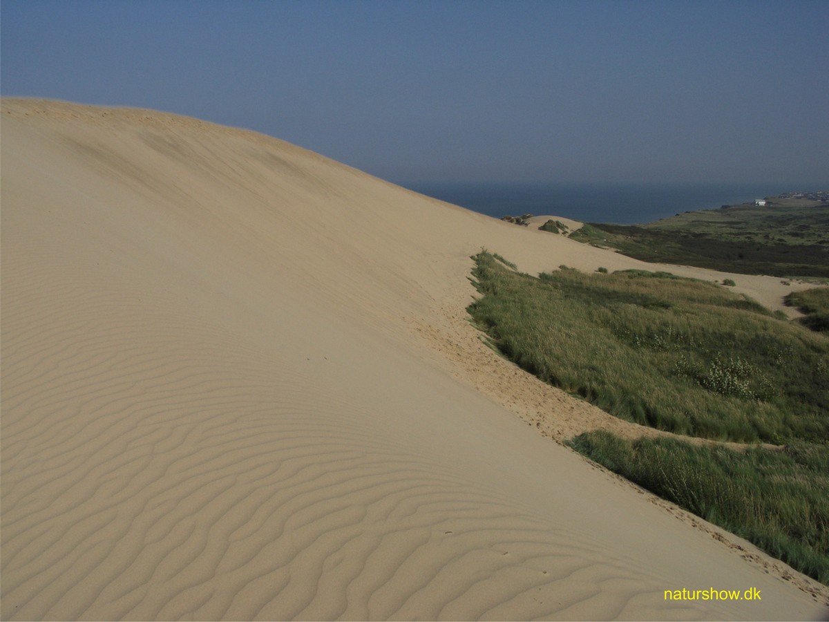Rubjerg%20Knude%20-%20Sand%20og%20turister%20-8%20med%20tekst.JPG