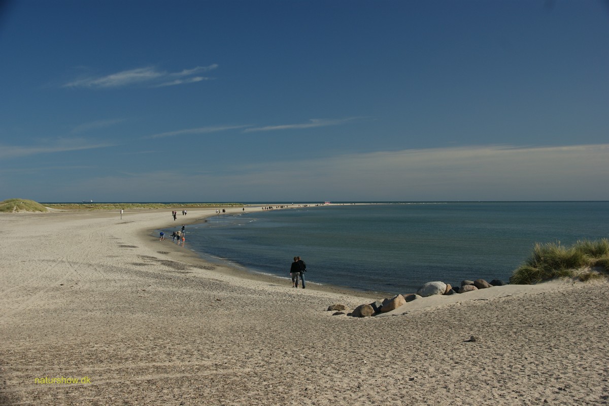 Skagens Gren -1 korr JP-DSC04878.jpg