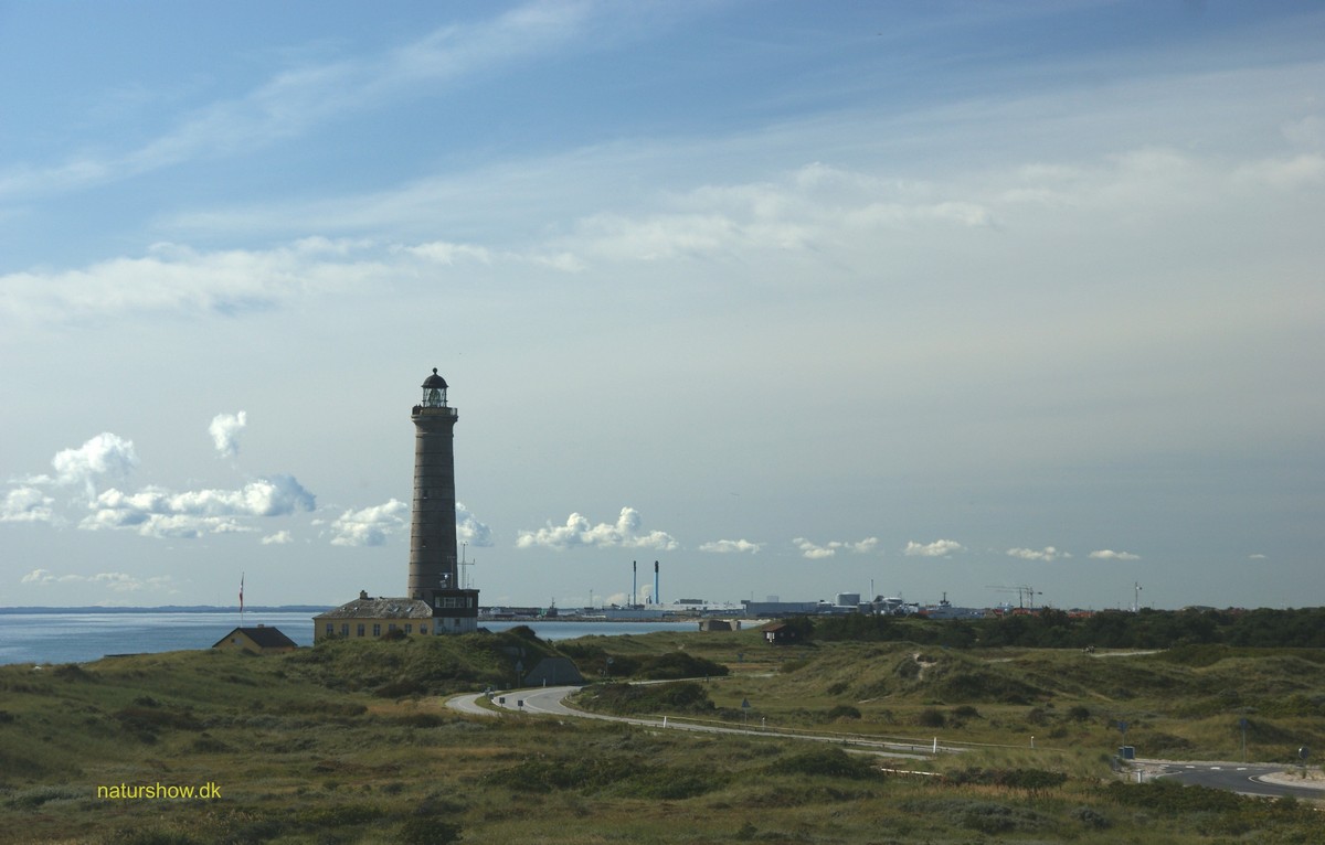 Skagens Gren -11 korr JP-DSC04897.jpg