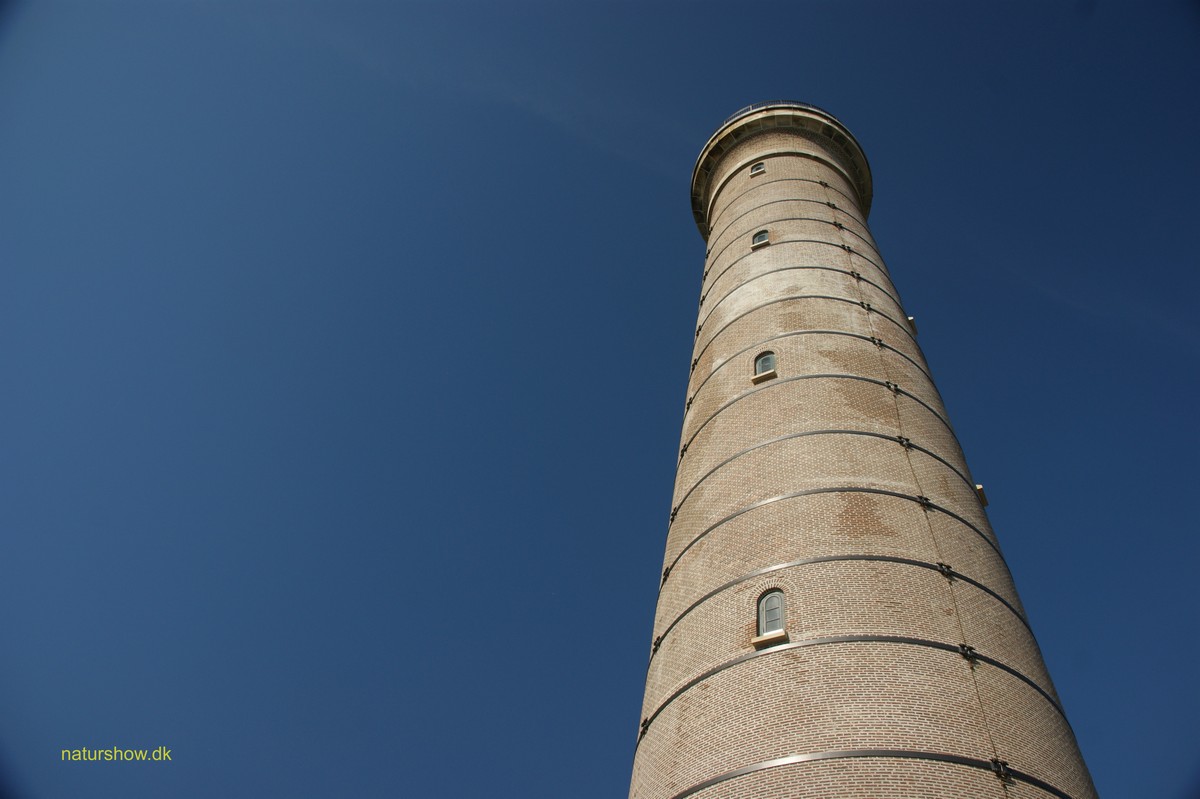 Skagens Gren -12 korr JP-DSC04898.jpg