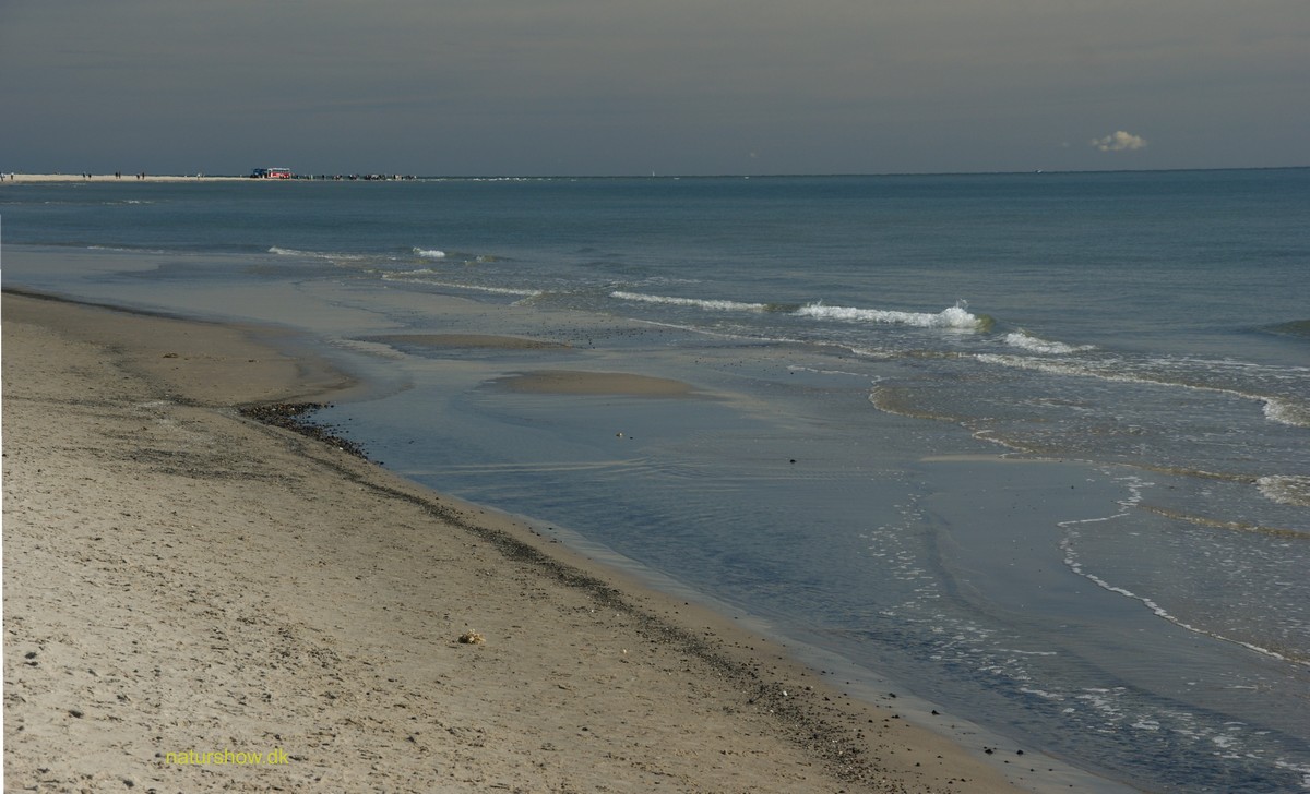 Skagens Gren -9 korr JP-DSC04889.jpg