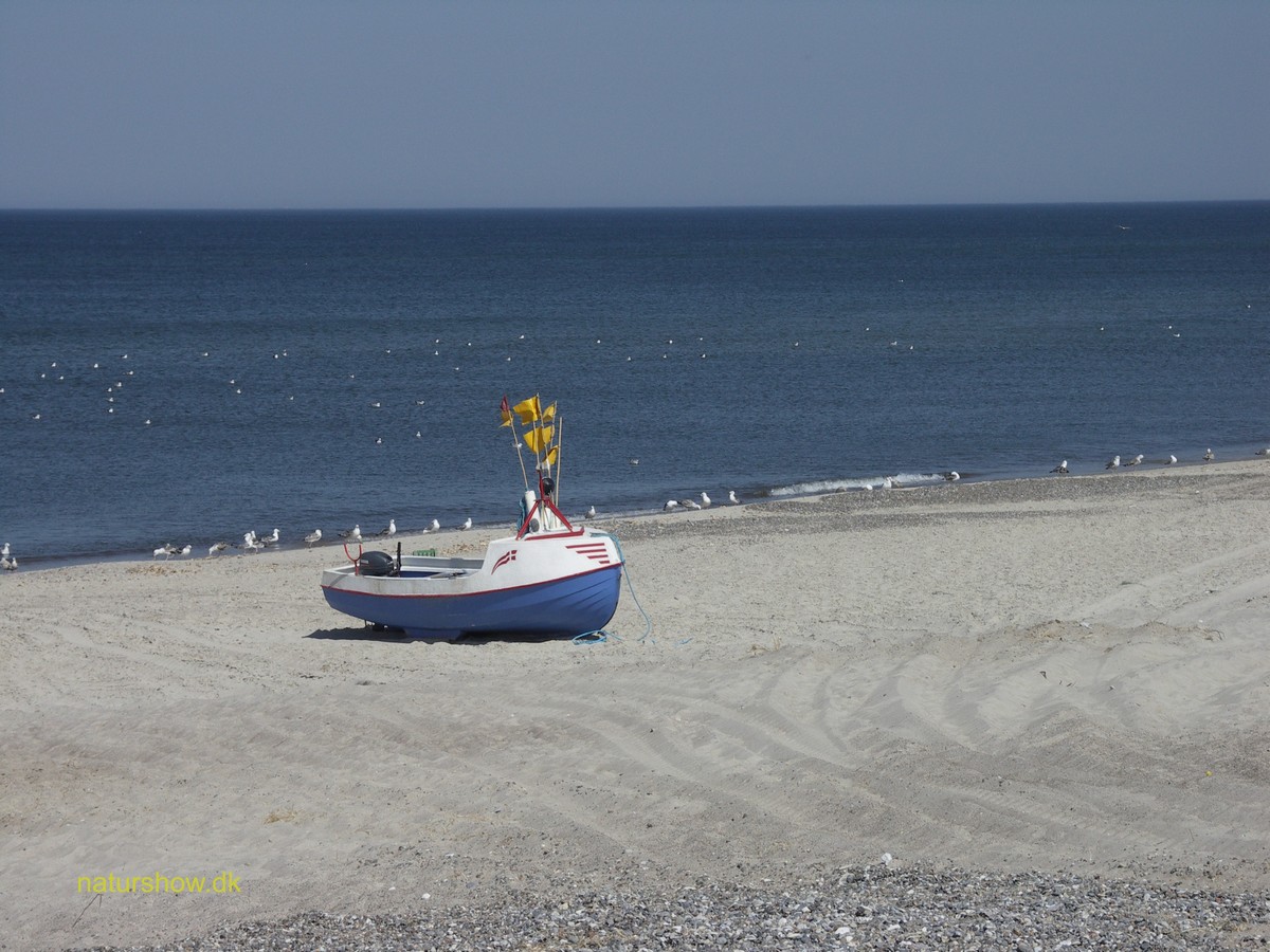 Stenbjerg landingsplads-8 korr PICT0028.jpg