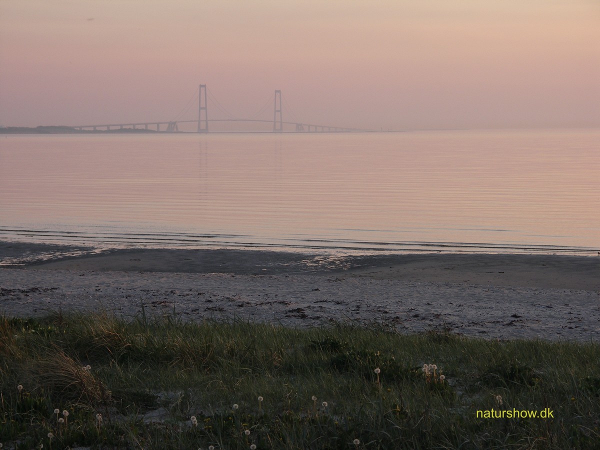 Storebæltsbroen i solnedgang-2 korr.jpg