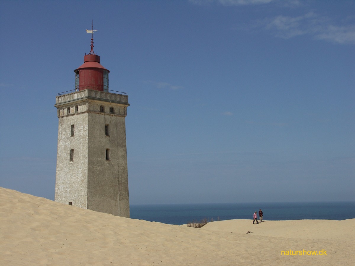 korr JP-PICT0073.jpg