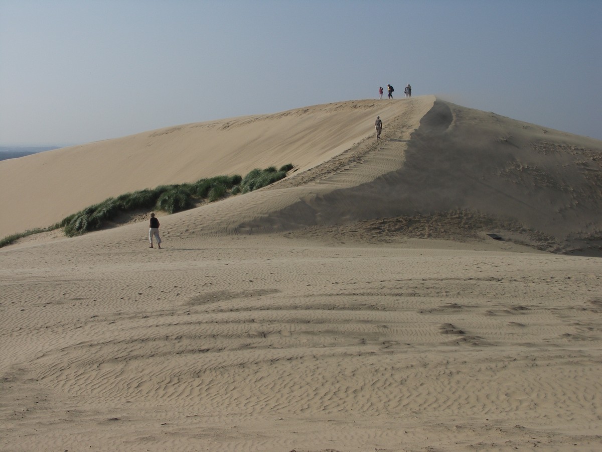 Rubjerg knude - sand og turister-13